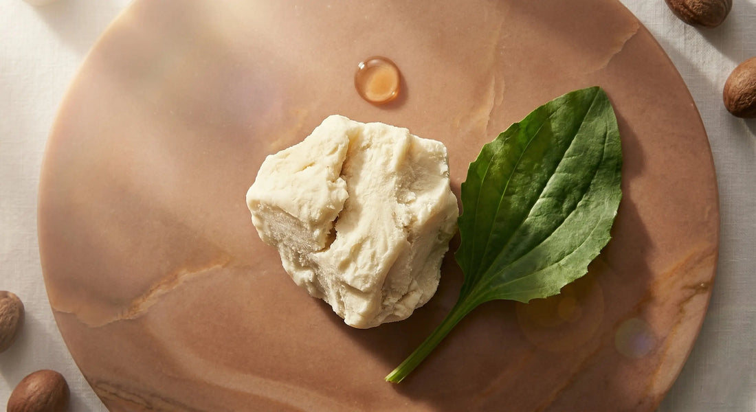 Raw unrefined shea butter used for clearing dark spots and hyperpigmentation safely